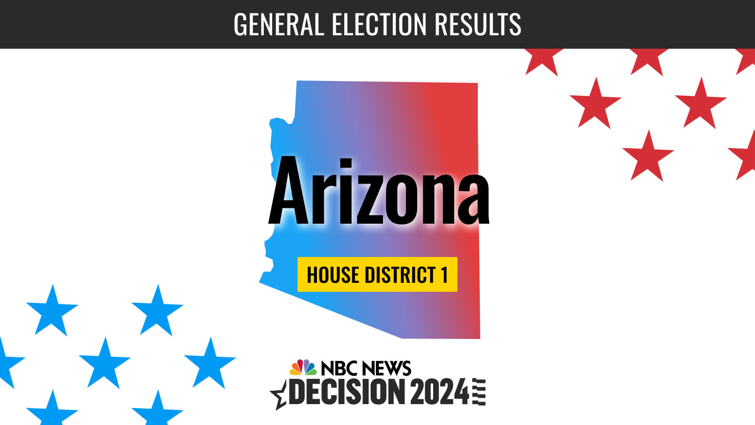 Arizona House District 1 Election 2024 Live Results